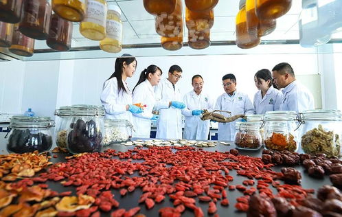 科技賦能，張掖植物工廠助力農特產品提質增效
